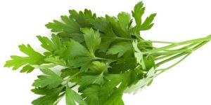 Fresh Parsley Leaves