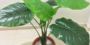 Natural Artificial Potted Plant