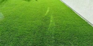 Landscaping Grass Installation Services
