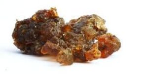 Moringa Gum