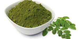 Moringa Oleifera Leaf Powder