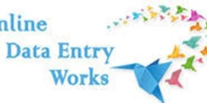 Domestic Bpo Data Entry Projects