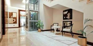 Stainless Steel 6 Persons Villa Lift