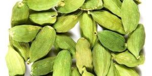 Green Cardamom