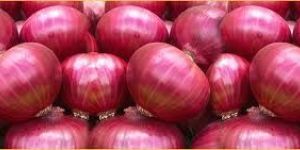 Red Onion