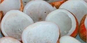 Edible Coconut Copra