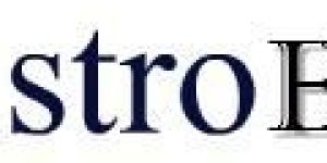 GST Based Accounting System