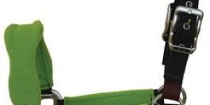 Horse Padded Halters