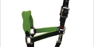 Padded Halters