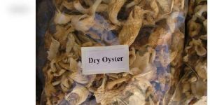 Dry Oyster Mushroom