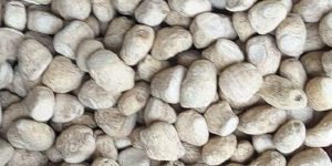 Dana Dry Ginger (Sonth)