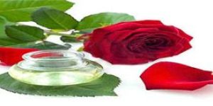 Rose Essential Oil