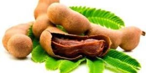 Fresh Tamarind