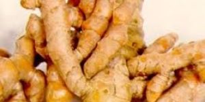 Turmeric Fingers