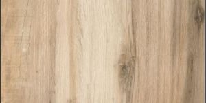 800 X 800 Mm Vitrified Floor Tiles