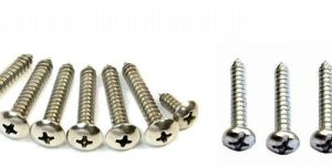 Stainless Steel Screws