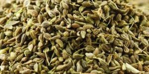 Fennel Seeds