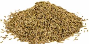 Cumin Seeds