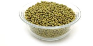 Green Moong Dal