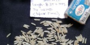 1121 Golden Sella Basmati Rice