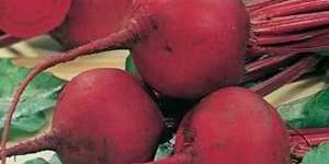 Beet Root Seeds