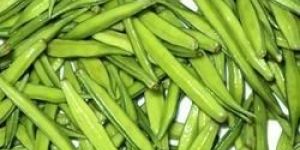 KOHINOOR CLUSTER BEAN SEEDS