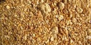 Soybean Meal