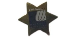 Brass Star Badges