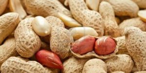 Shelled Groundnuts