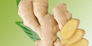 Fresh Ginger
