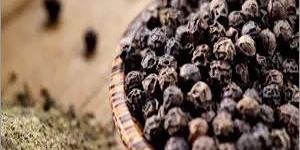Black Pepper