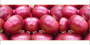 Pure Onion
