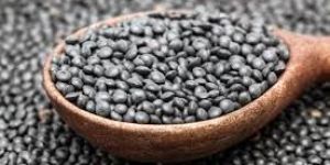 Black Lentils