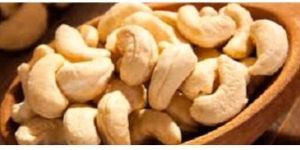 Cashew Nuts