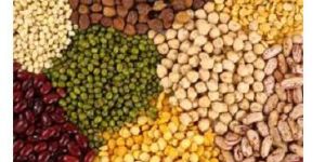 Cereals and Pulses