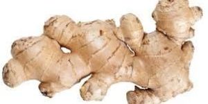 Fresh Ginger