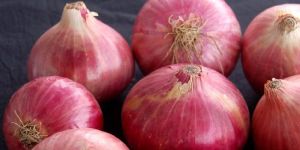 Fresh Red Onion
