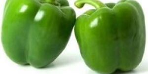 Fresh Capsicum