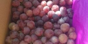 Fresh Red Globe Grapes