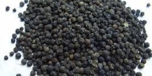 Black Pepper