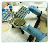 Nitrilotriacetic Acid