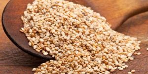 Sesame Seeds