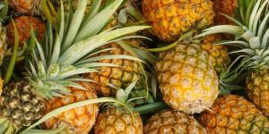 Fresh Pineapple
