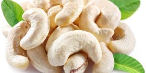 Cashew Nuts
