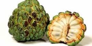 Custard Apple