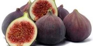 Fresh Fig