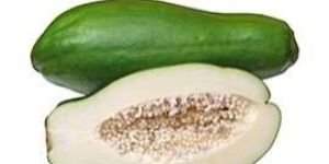 Fresh Green Papaya