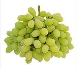 Fresh Seedless Grapes