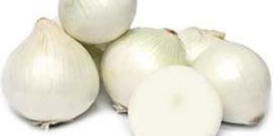 Fresh White Onion