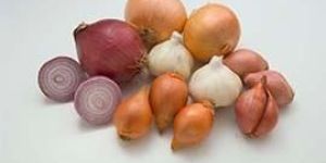 Onion Mixed